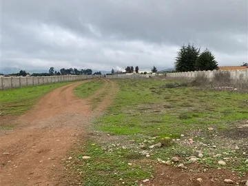Arriendo de Sitio en La Serena, Ruta 253 Bellavista