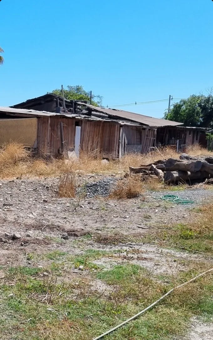 Arriendo de Terreno Agricola en Olivar, Gultro