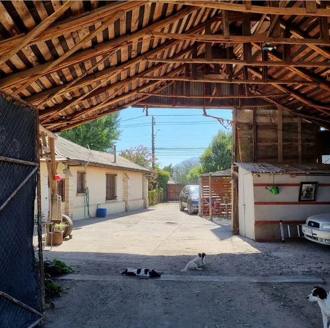 Arriendo de Terreno Agricola en Olivar, Gultro