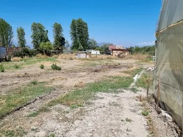 Arriendo de Terreno Agricola en Olivar, Gultro
