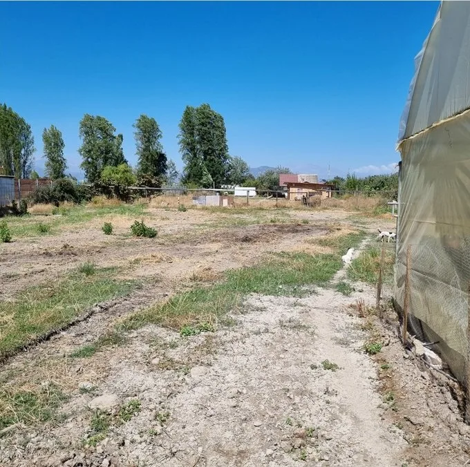 Arriendo de Terreno Agricola en Olivar, Gultro