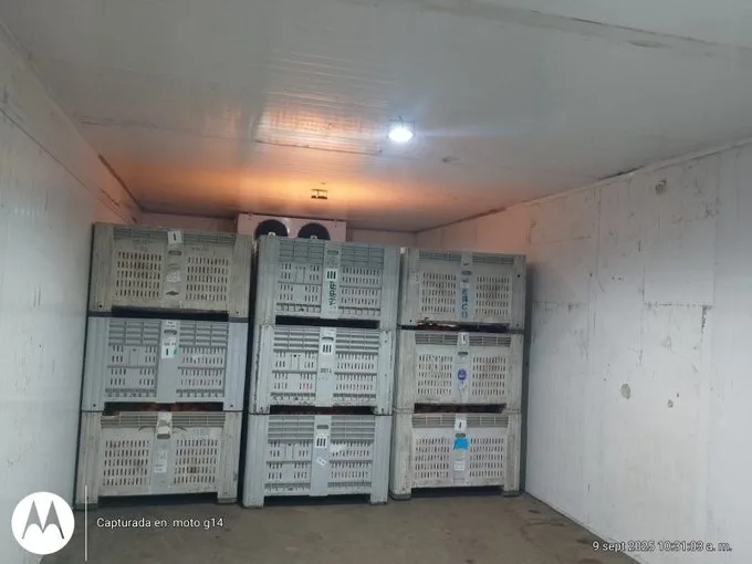 Arriendo de Terreno Industrial en Independencia, Nueva de matte