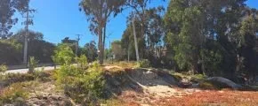Arriendo de Terreno en Algarrobo, Camino Algarrobo Mirasol