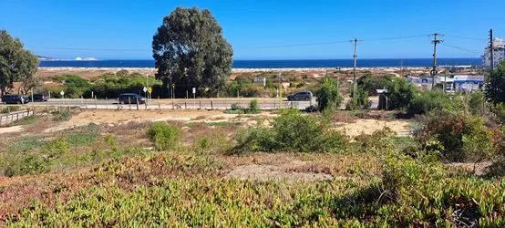 Arriendo de Terreno en Algarrobo, Camino Algarrobo Mirasol