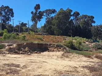 Arriendo de Terreno en Algarrobo, Camino Algarrobo Mirasol