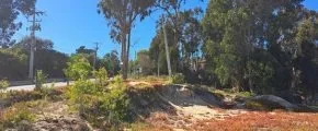 Arriendo de Terreno en Algarrobo, Camino Algarrobo Mirasol