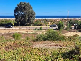 Arriendo de Terreno en Algarrobo, Camino Algarrobo Mirasol