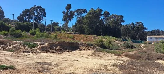 Arriendo de Terreno en Algarrobo, Camino Algarrobo Mirasol