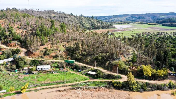 Arriendo de Terreno en Pichilemu, El quillay - 1