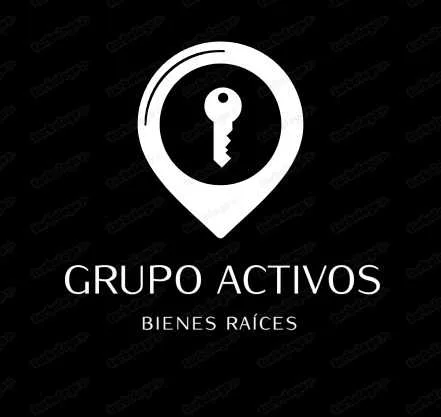 GRUPO ACTIVOS