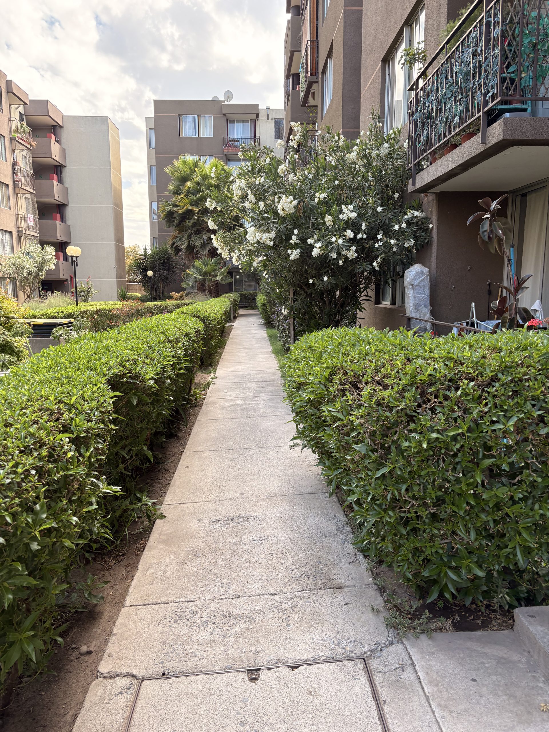 Arriendo Departamento