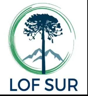 Lof Sur Servicios Integrales SpA