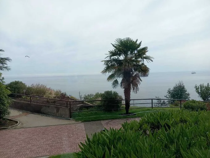 Arriendo de Departamento en Viña del Mar, Vista al Mar (128576)