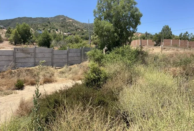 Arriendo de Terreno en Casablanca, Lo vásquez