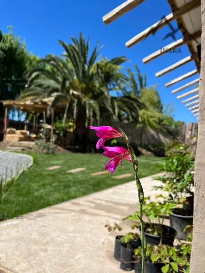Arriendo de Departamento en Machalí, Santa Emilia de Machalí,