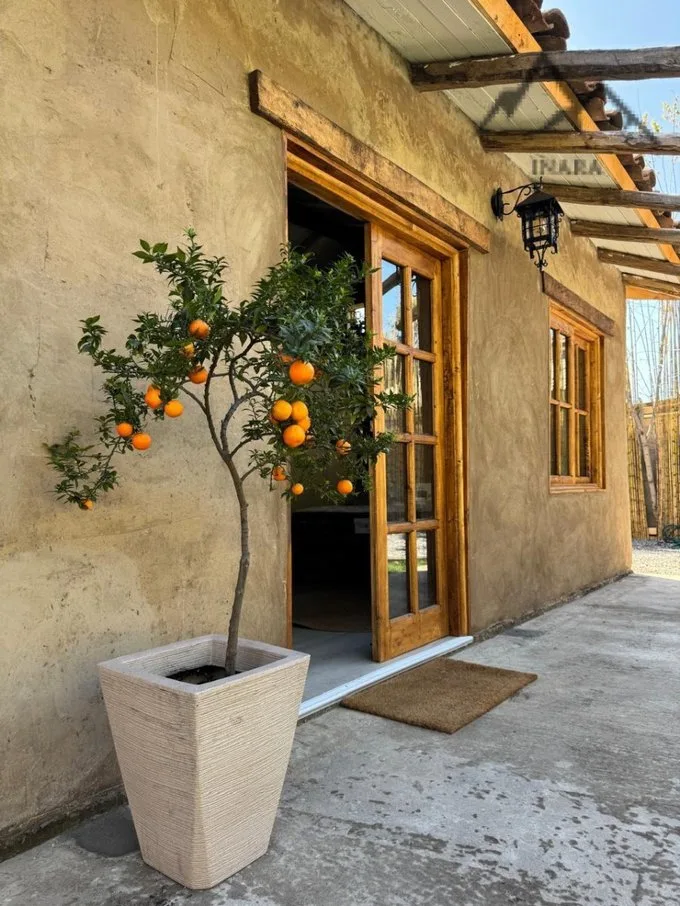 Arriendo de Departamento en Rancagua, Calle Pintor Gustavo Cabello Olguin