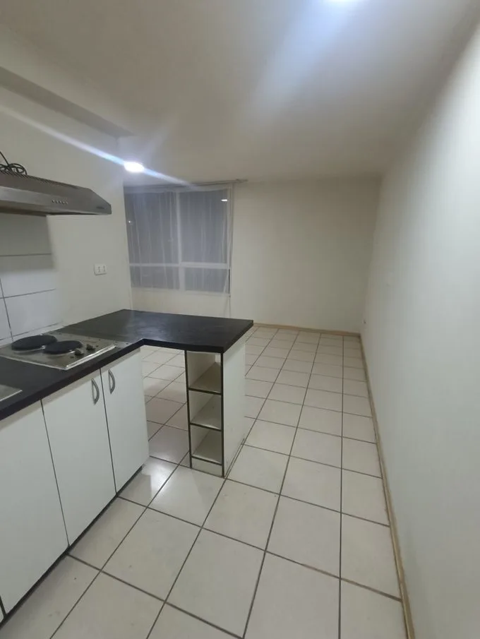 Arriendo de Departamento en Independencia, Sur