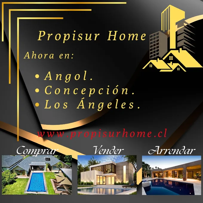 Propisur Home