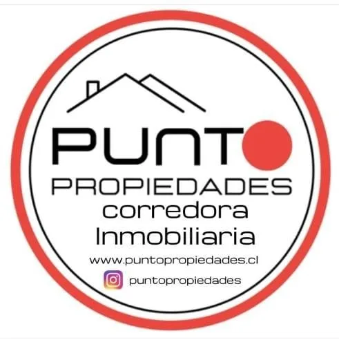 Punto Propiedades