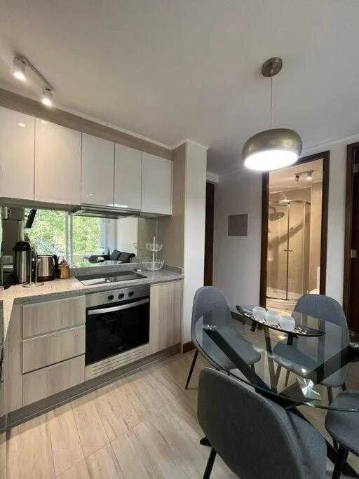 Arriendo de Departamento en Pucón, Arriendo DP 2D/2B estacionamiento y Bodega