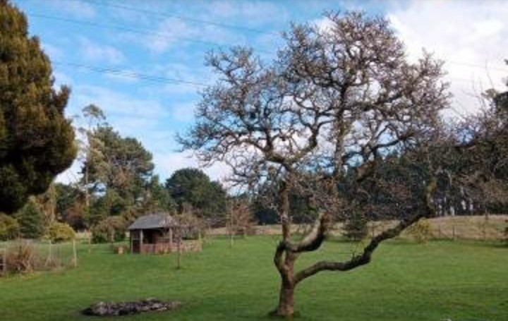 Casa campo Puerto Varas