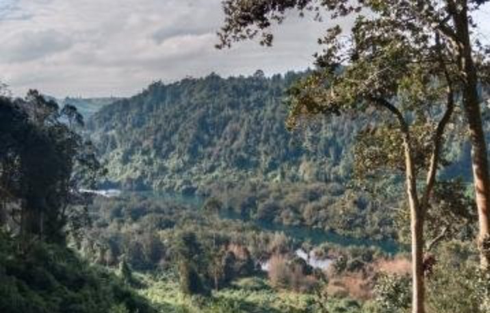 Casa campo Puerto Varas