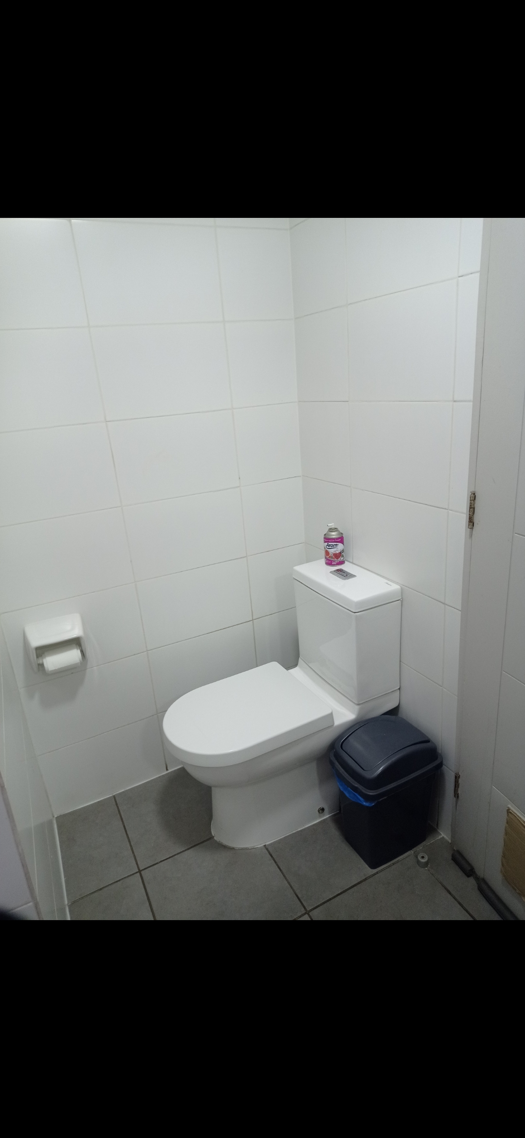 Arriendo casa amoblada mensual o diario