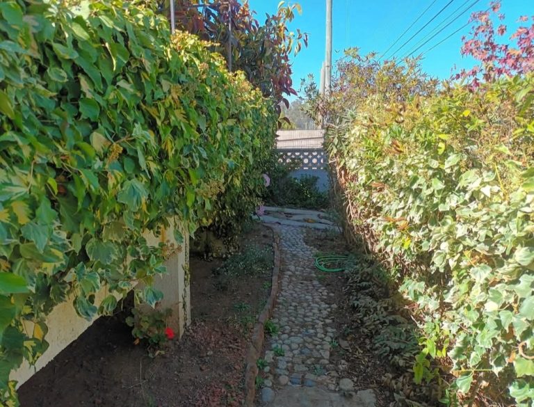 Vivienda unifamiliar