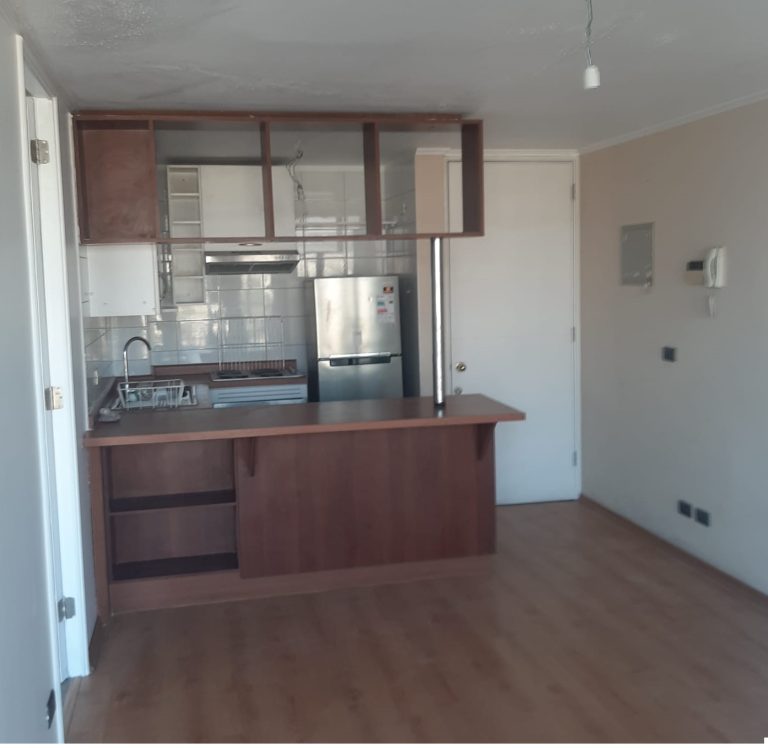 Hermoso departamento con vista a Cerro San Cristobal , Cordilera y Parque forestal
