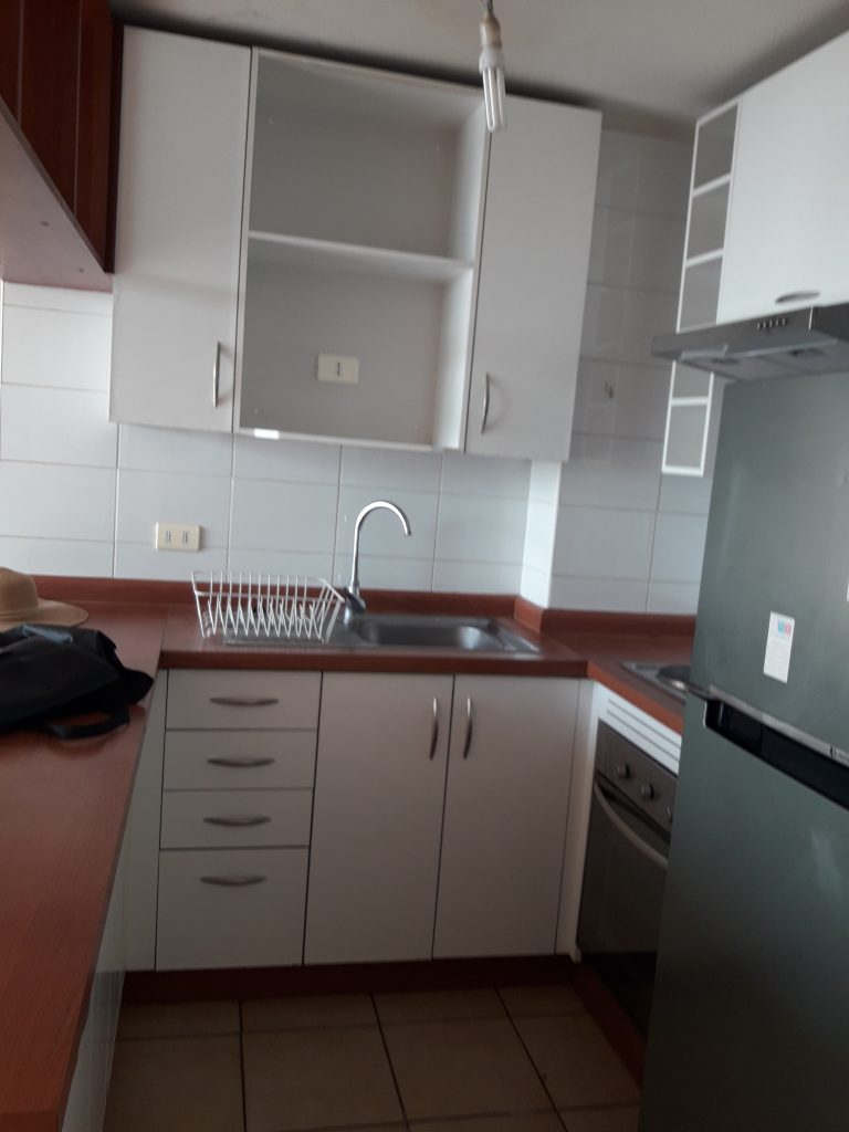 Hermoso departamento con vista a Cerro San Cristobal , Cordilera y Parque forestal