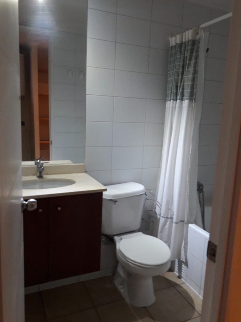 Hermoso departamento con vista a Cerro San Cristobal , Cordilera y Parque forestal