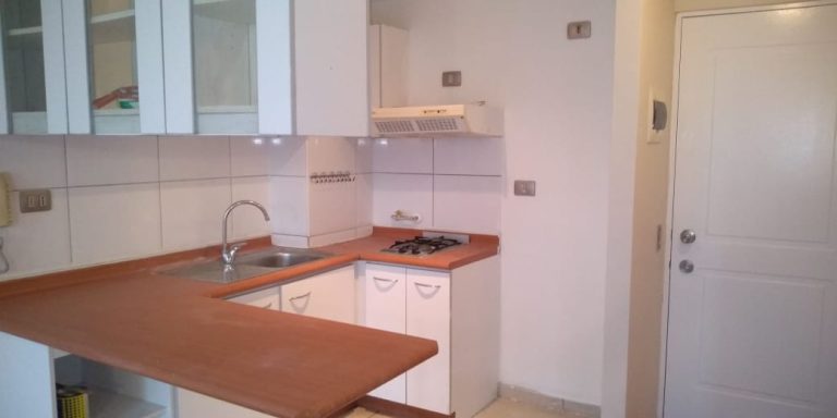 DIRECTO DUEÑA EXCELENTE DEPARTAMENTO SAN ISIDRO 488