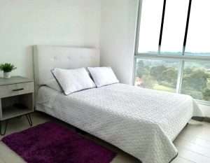 Apartamento amoblado en arriendo en Oro Negro 9