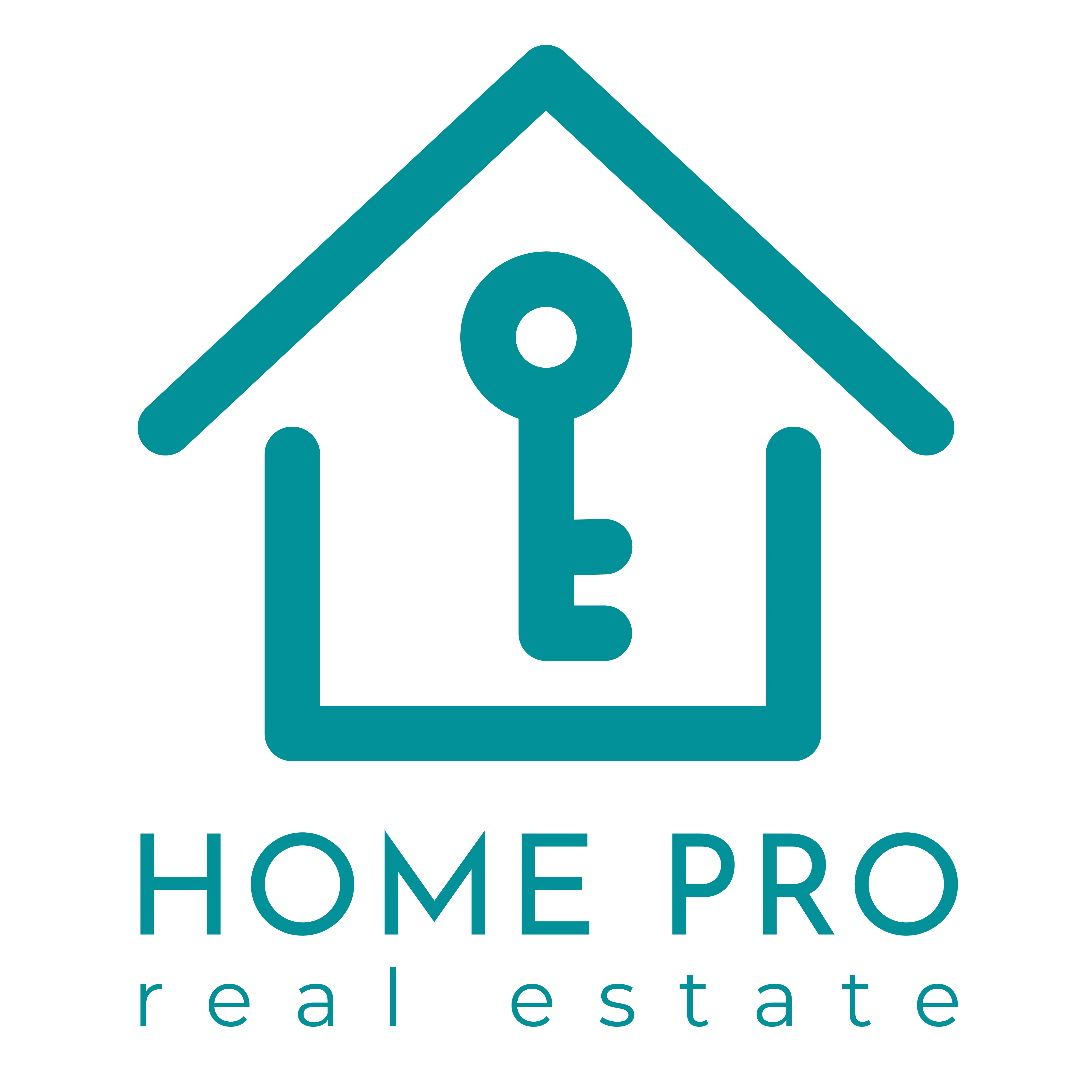 HOME PRO