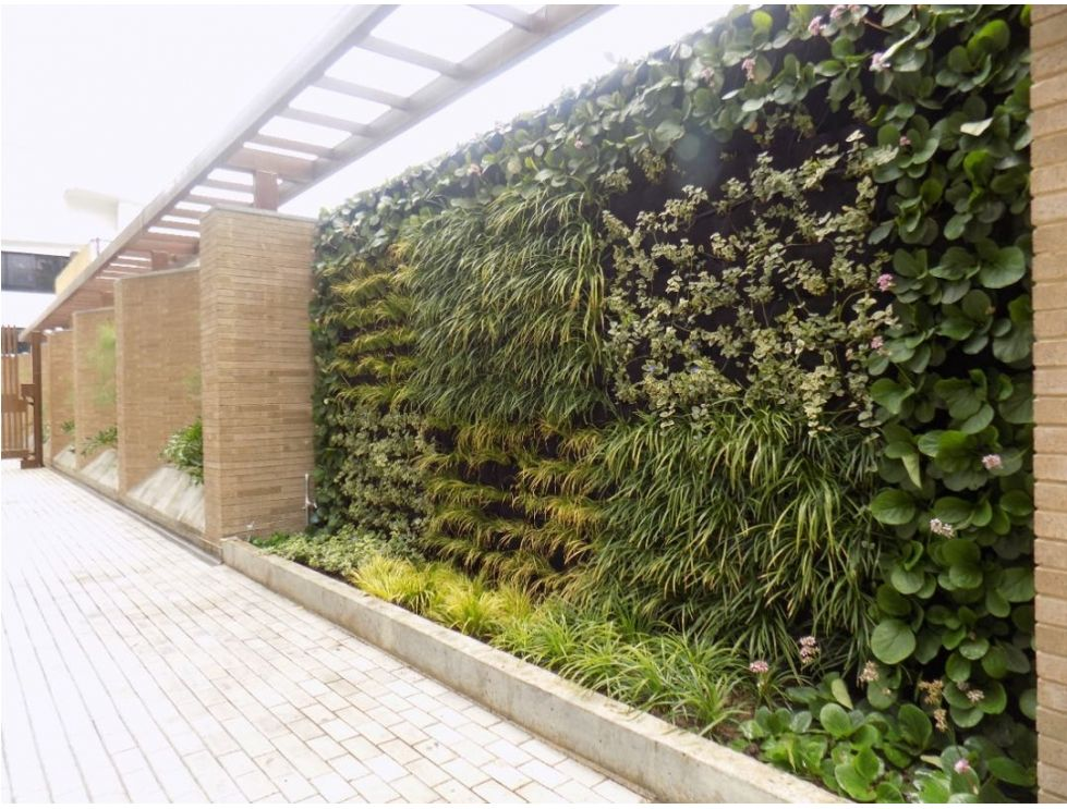 ARRENDAMOS APTO EN CHICO 19 79811820250911073126.png