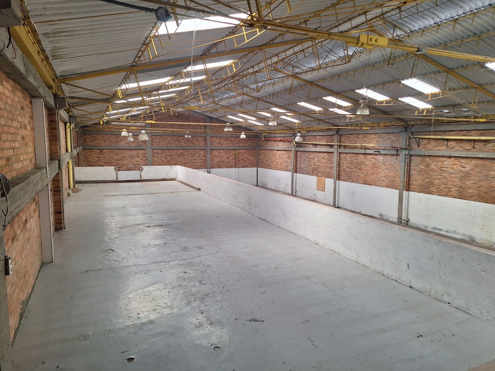 BODEGA EN ARRIENDO, ALAMOS, ZONA INDUSTRIAL 7 178742620241113070827.jpeg