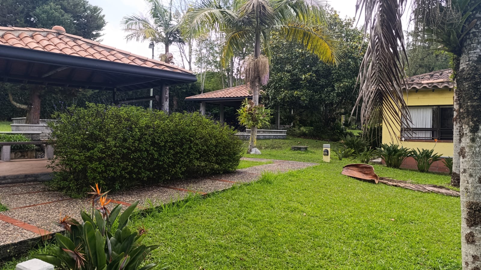 FINCA EN ARRIENDO EN LA CEJA EN LA PARCELACIÓN EL TAMBO. 12 79331620251029024952.jpeg