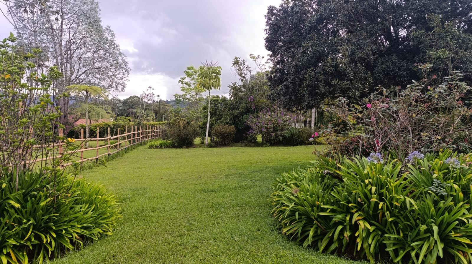 FINCA EN ARRIENDO EN LA CEJA EN LA PARCELACIÓN EL TAMBO. 14 79332220251029024954.jpeg