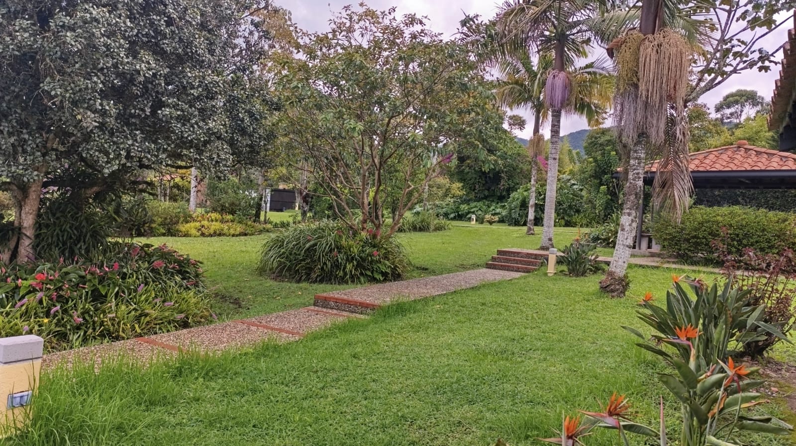 FINCA EN ARRIENDO EN LA CEJA EN LA PARCELACIÓN EL TAMBO. 13 79332320251029024954.jpeg