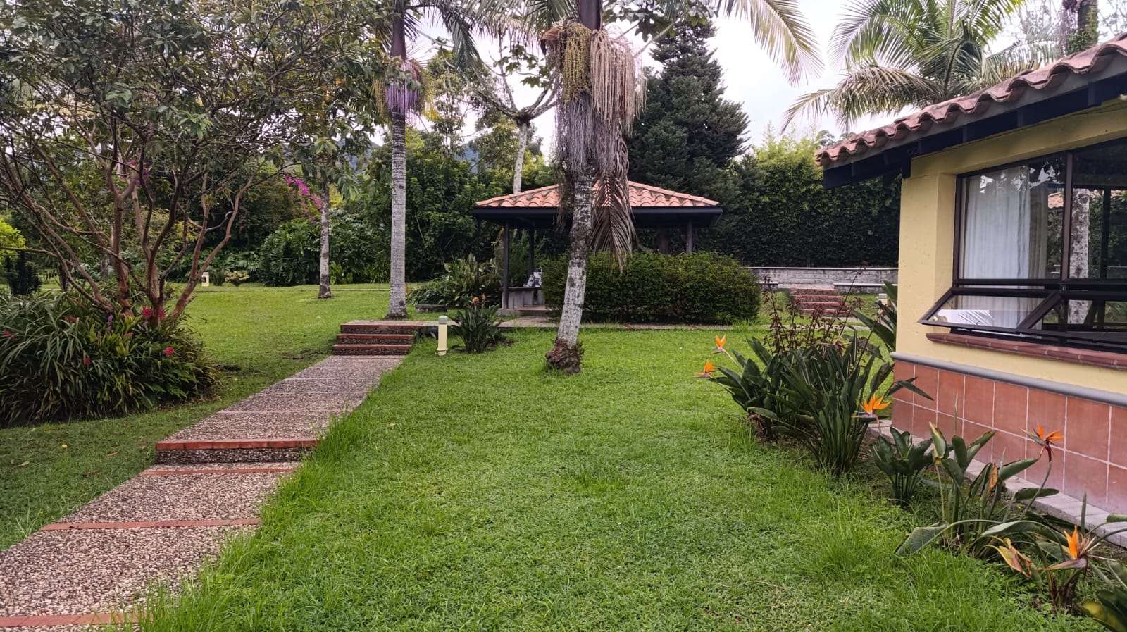 FINCA EN ARRIENDO EN LA CEJA EN LA PARCELACIÓN EL TAMBO. 19 79332520251029024955.jpeg