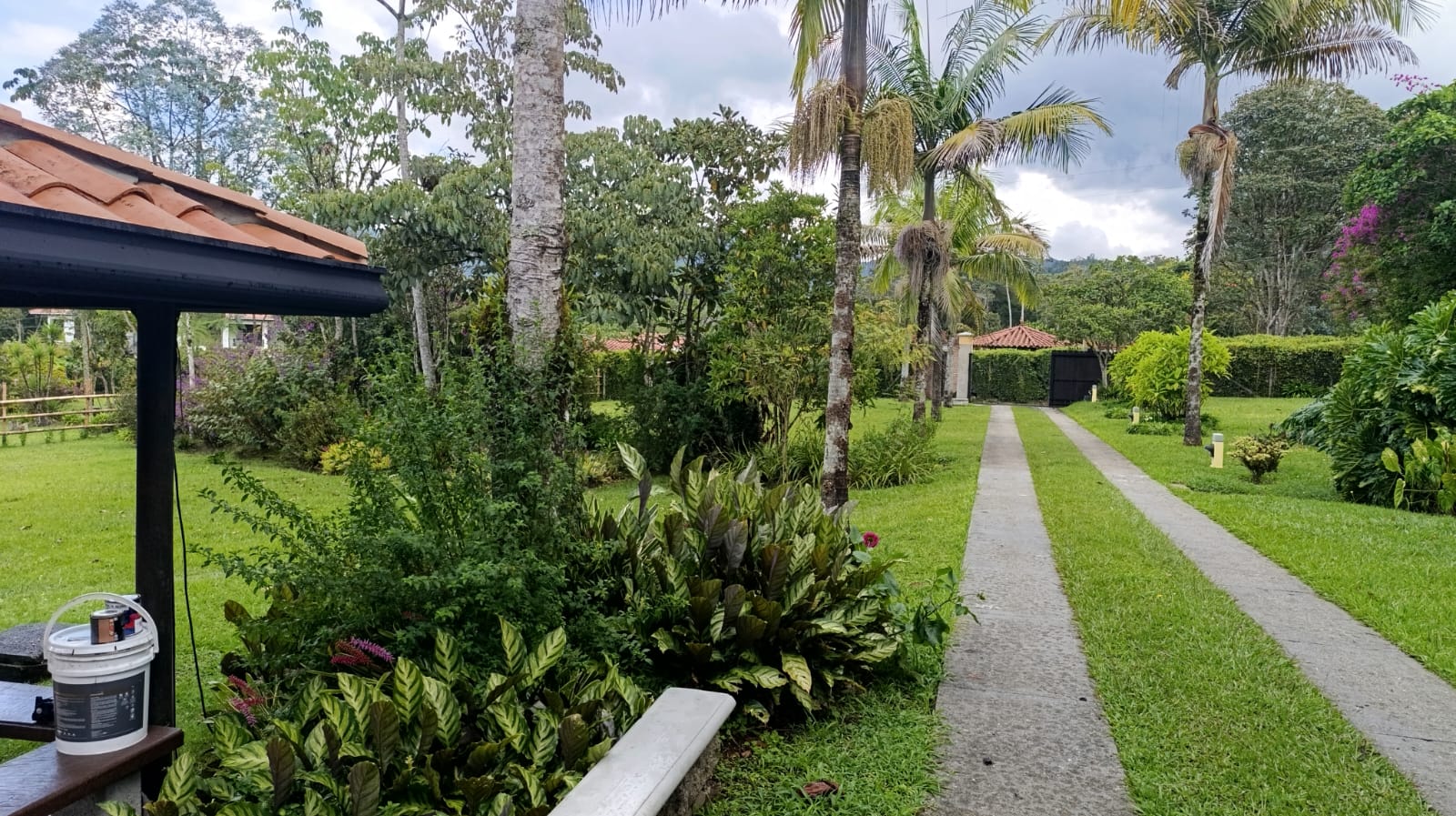 FINCA EN ARRIENDO EN LA CEJA EN LA PARCELACIÓN EL TAMBO. 10 79332720251029024955.jpeg