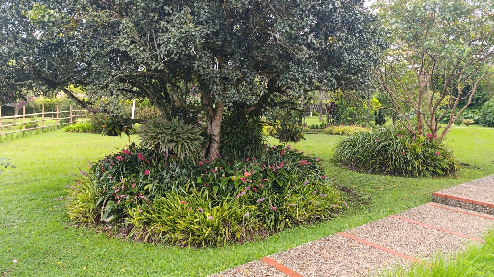 FINCA EN ARRIENDO EN LA CEJA EN LA PARCELACIÓN EL TAMBO. 15 79332920251029024956.jpeg