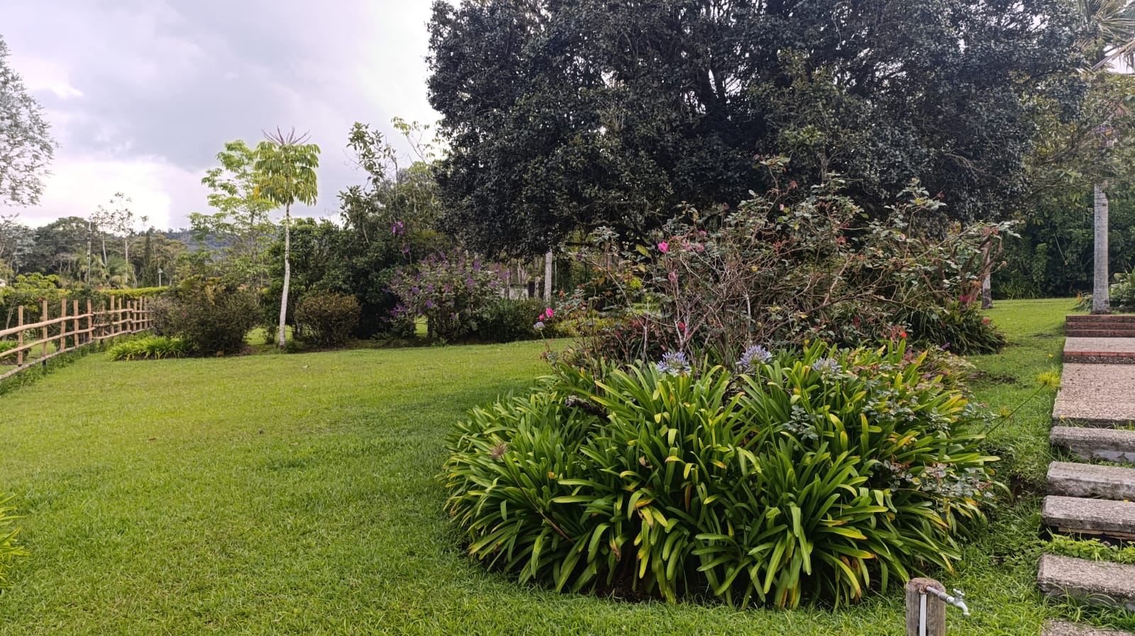 FINCA EN ARRIENDO EN LA CEJA EN LA PARCELACIÓN EL TAMBO. 17 79333620251029024957.jpeg