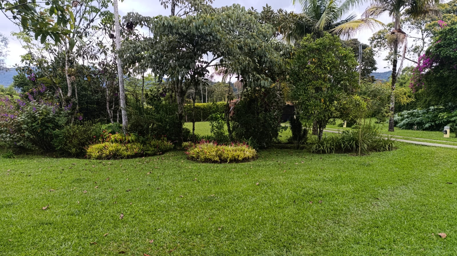 FINCA EN ARRIENDO EN LA CEJA EN LA PARCELACIÓN EL TAMBO. 20 79334120251029024959.jpeg