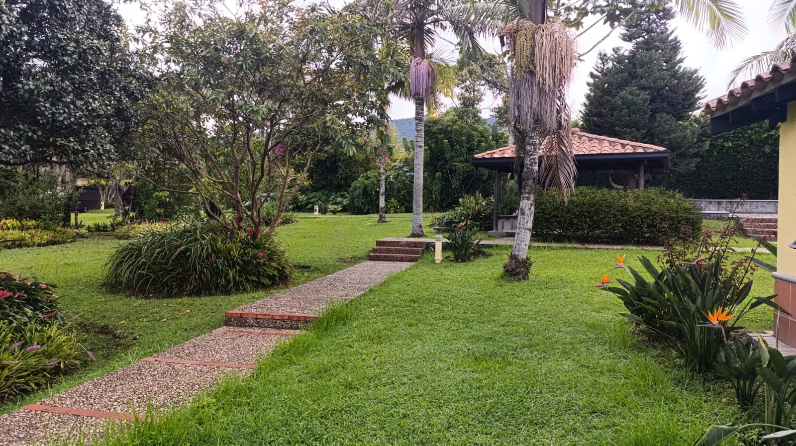 FINCA EN ARRIENDO EN LA CEJA EN LA PARCELACIÓN EL TAMBO. 5 79334720251029025000.jpeg