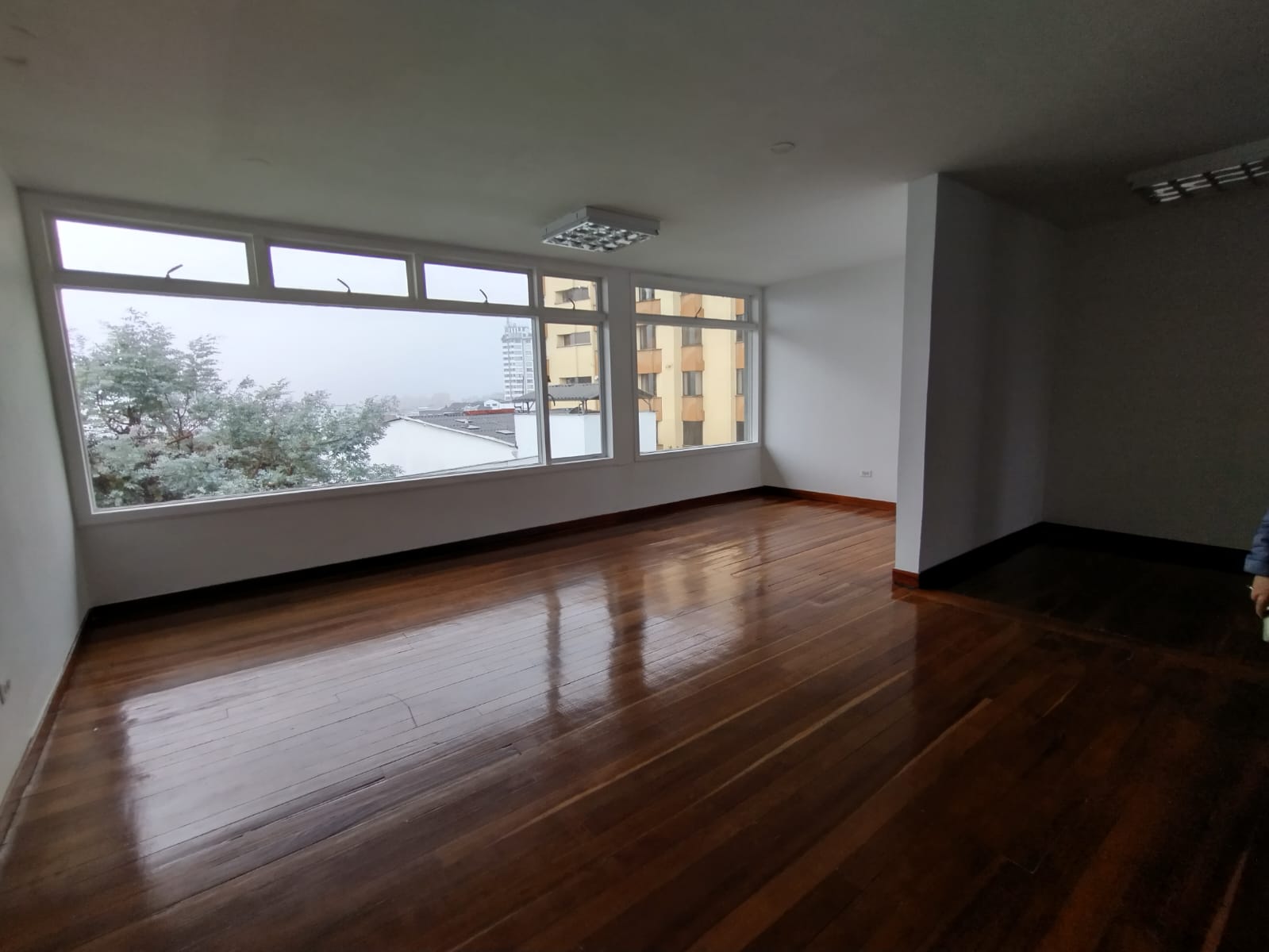 OFICINA EN ARRIENDO EN BELÉN MANIZALES | ARRIENDOS MANIZALES