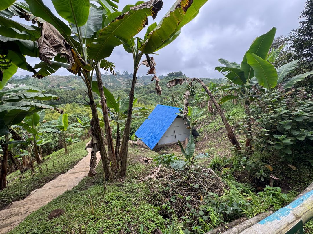 RENTO APARTAMENTO CAMPESTRE EN LA VEREDA GORGONIA SANTA ROSA DE CABAL