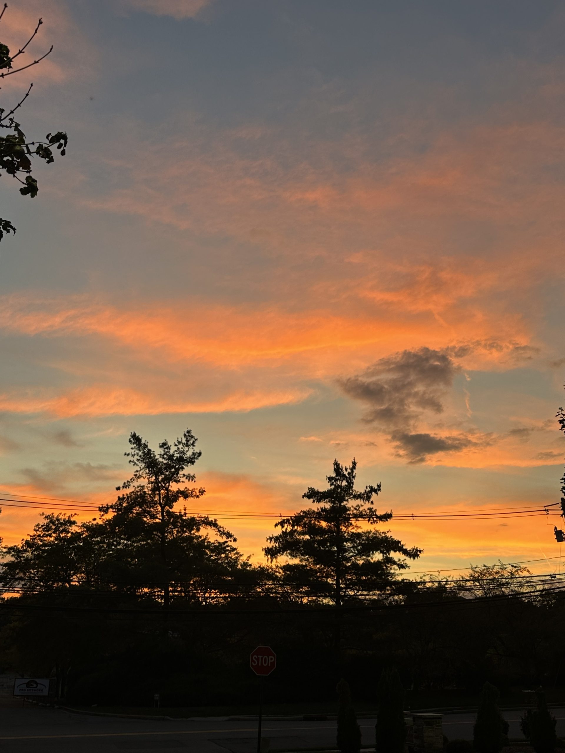 marisolgaitan29@gmail.com