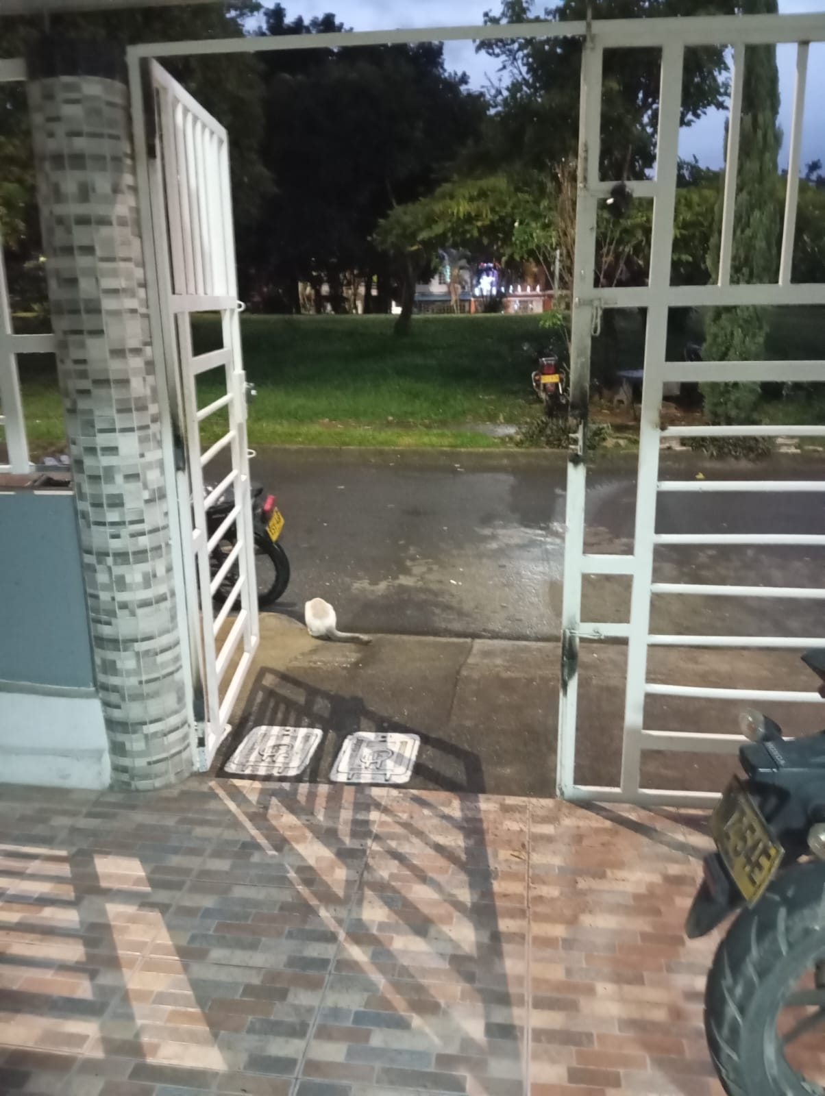 Arriendo apartamento en Valle del Lili – Ciudad Meléndez, Cali (Unidad Residencial Sepia, estrato 4)