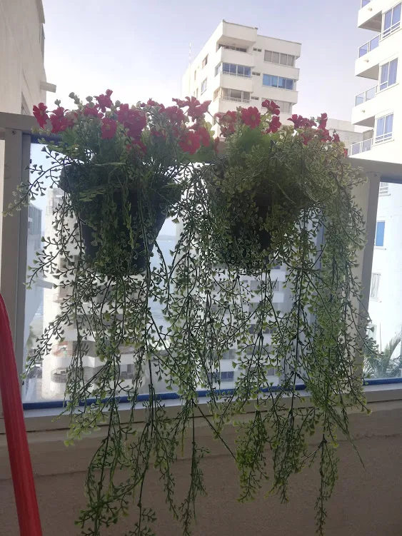 Apartamento en alquiler temporal en Cartagena